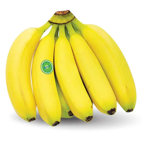 High Quality export prices for bananas- Ready to Export/ Ms: Holiday whatsapp: +84-845-639-639