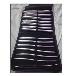 Kit de dilatateurs utérins Hegar 14 pièces, kit de dilatateurs utérins Hegar, dilatateurs utérins Hegar à double extrémité - Product Image 1