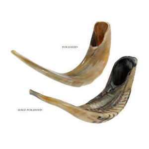 Shofar de Cuerno de Carnero Natural Pulido Ecológico al por Mayor para la Venta por Artesanos Reales - Decoración de Bodas y Objetos de Colección de Arte - Product Image 2