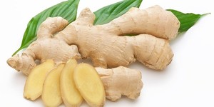 Gừng tươi tốt nhất từ nhà cung cấp tốt nhất Việt Nam/rễ gừng tươi: cần thiết cho các món ăn ngon và thơm - Product Image 6