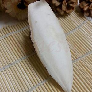 Os de seiche/os de seiche/os de calmar pour oiseau - Product Image 5