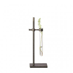 Florero moderno pequeño de un solo tubo de ensayo, decoración de mesa de vidrio y hierro de estilo Ins para bodas - Product Image 1