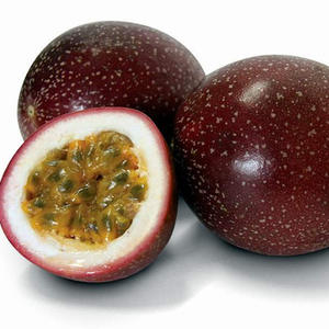 passion fruit supplier supplier
