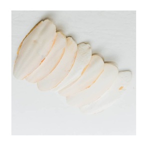 Hueso de Sepia Entero/ Hueso de Sepia Asiática para Aves - Product Image 3