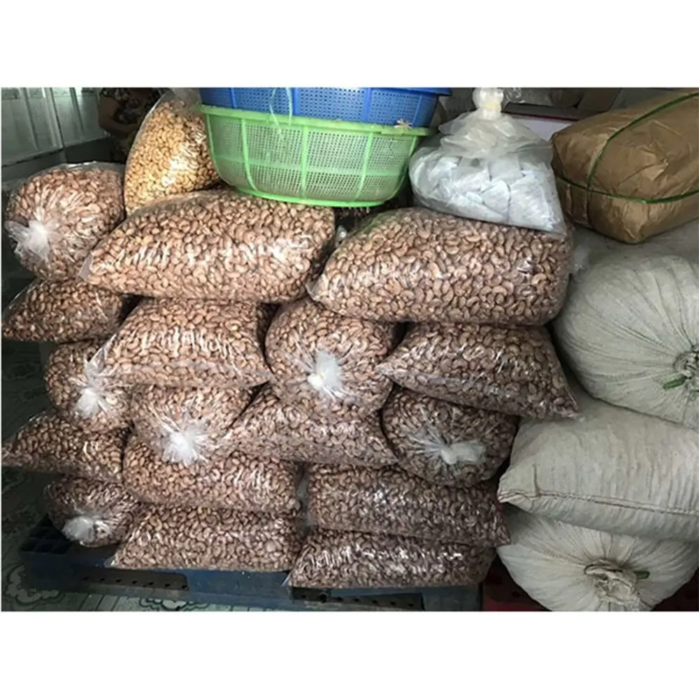 2019 cheapest raw cashew nut shell bulk raw cashew nut cashew nut processing plant