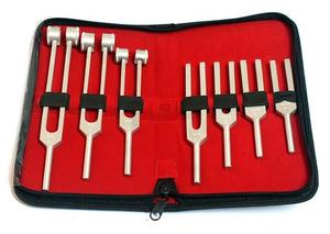 Amígdalas quirúrgicas de alta calidad, Bruening Mahersi, Pakistán - Product Image 6