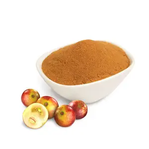 Premium Quality Camu Camu Extract Pulp Fine Powder With OEM Service For Supplier