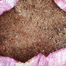 Cocopeat คุณภาพสูงราคาดีที่สุด/cocopeat 5กก.-MS: Holiday - Product Image 3