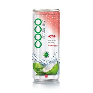Eau de coco pétillante aromatisée fruitée gazéifiée de haute qualité 250ml une boisson rafraîchissante - Product Image 5
