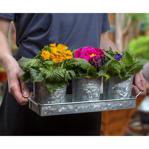 Set of 3 Rustic Galvanized Metal 4 Storage Buckets <b>Planter</b> With <b>Tray</b> for Home Decorative <b>Planters</b> & Nursery Planting - Product Image 3