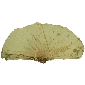 Polvo de extracto de loto puro al por mayor con el mejor precio de alta calidad - Product Image 2