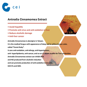 Integratore alimentare di Salute <span class=keywords><strong>Antrodia</strong></span> Cinnamomea Capsule Fegato grasso Medicina Fegato integratore - Product Image 5