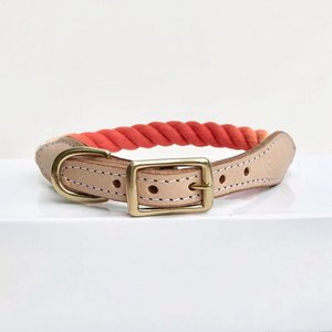 Orange Dog <b>Collar</b> | Rope Dog <b>Collar</b> - Product Image 1