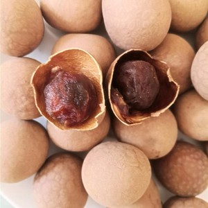 LONGAN séché au gingembre, de haute qualité - Product Image 5