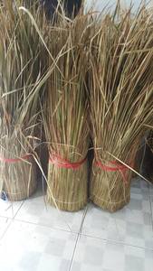 Ramas de Palma/ Techo de Hojas de Palma/ Techo de Pasto Marino (Sandy 0084587176063 WS) - Product Image 3