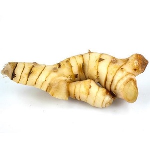 100% aceite esencial puro de galanga aceite orgánico de raíz de Alpinia Officinarum para aromaterapia cuidado de la piel cuidado del cabello suministro a granel al por mayor - Product Image 5