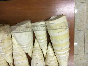 หน่อไม้สดในกระป๋อง3กก - Product Image 4