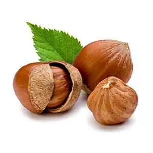 Hazelnut dầu (corylus avellana) từ Ấn Độ bán buôn của Hazelnut dầu Báo Chí lạnh tinh khiết Hazelnut dầu Báo Chí lạnh