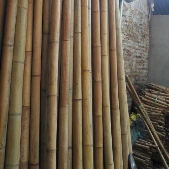 Varas de bambu 1305