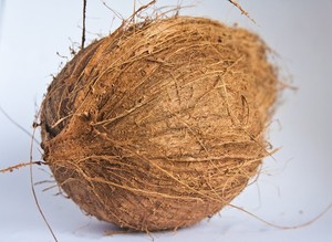 COPRA DE COCO DE BUENA CALIDAD/COCO SECO ENTERO - Product Image 6