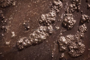 Producto Bacteriano para la Biorremediación de Hidrocarburos Petroleros - Product Image 3