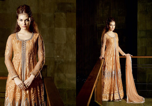 Designer Heavy Bridal Party Wear Suits Pashmina Velvet Satin Winter Dresses Pakistani Lawn Pataila Punjabi Suits Cathedral/Royal - Product Image 5