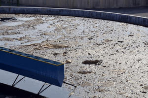 Enzimas bacterianas para tratamiento eficaz de aguas residuales - Product Image 4