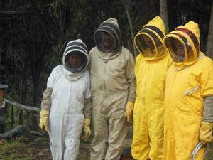 ชุดผึ้ง - Product Image 1