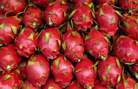 <b>Dragon</b> <b>Fruit</b> Original Vietnam - Product Image 6