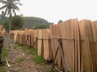 Séchoir à bois d'ingénierie Kego 4x8 pieds avec placage de surface et technologie de pressage à chaud à coupe rotative