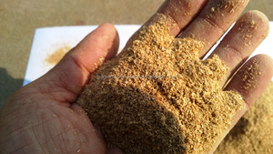 CHEAP RICE HUSK GRIND/ RICE HUSK POWDER/RICE HUSK PELLET ORIGIN VIET NAM (MS MARY - mary@vietnambiomass.com) - Product Image 6