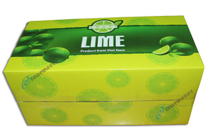 ที่กำหนดเองมะนาวผลไม้ลูกฟูกกล่องบรรจุภัณฑ์ส่งออกไปทั่วโลก - Product Image 2