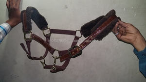 Ensemble de tapis de selle pour chevaux avec bonnet et licou assortis - Product Image 2