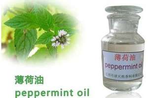 Huile essentielle végétale naturelle de qualité supérieure 100% pure - Product Image 5