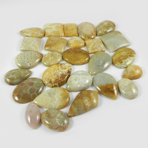 ปะการังธรรมชาติ26ชิ้น,อัญมณีทรงหลวม100 Gms Cabochon แบบอิสระสำหรับทำเครื่องประดับ - Product Image 3