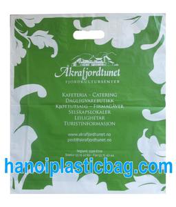 Sac découpé en HDPE/LDPE imprimé, bon prix au Vietnam - Product Image 4