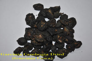 गार्सिनिया कैंबबोगिया. 60% निकालें गार्सिनिया गुम्मी-गुट्टा फल ट कट - Product Image 2