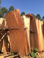 Noyau de placage en bois d'eucalyptus teinté 1270*640mm 1.7mm coupé en tranches pour la fabrication de contreplaqué à bon prix
