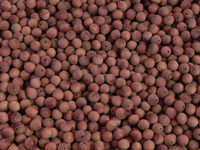 Perles de santal indien Laoshan en vrac, parfum boisé doux et durable, plus de 50 ans, tailles 4mm-22mm