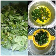 Huile de Neem 100% obtenue à partir du noyau de neem pur par pression à froid utilisée pour le liquide capillaire et le lavage du corps - Product Image 2