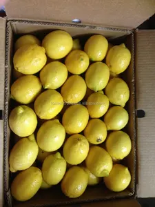 Mesir Lemon Segar dengan Harga Terbaik dan Kualitas Terbaik Semua Ukuran dan 8-15Kg Karton