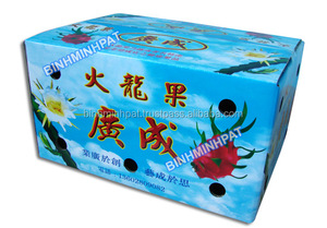 Cajas de Cartón Corrugado Impermeables para Frutas Frescas de Dragón - Product Image 4