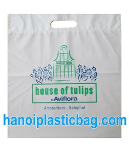 Sac à poignée découpée en LDPE à prix abordable, impression de qualité supérieure - Product Image 3
