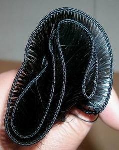 Vente chaude de haute qualité cambodge vierge Remy cheveux raides ondulés cheveux bouclés pour perruques cheveux humains matériel peau trame Extension - Product Image 5