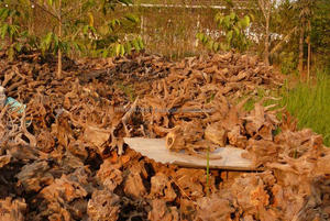 รากต้นดริฟท์วูดตู้ปลาประเทศไทย - Product Image 3