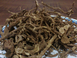 รากโคเลอส ฟอร์สโคลี คาร์ปูราวาลี มากันดี ฟอร์สโคลี แห้ง - Product Image 2