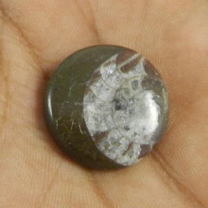 Gema Natural de amonita marrón para hacer joyería, cabujones redondos de 22mm, 4,45 gms, Gema suelta hecha a mano - Product Image 3