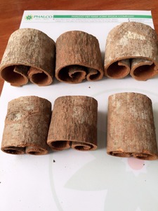 รอบตัดขี้เหล็กจากเวียดนาม - Product Image 3