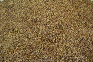 <span class=keywords><strong>Java</strong></span> чайные листья натурального зеленого качества, ортосифон, стеминеус, оптовые поставки из Индии - Product Image 3