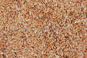 Semillas de Lino Marrón de Nueva Cosecha 2021, Producto Agrícola para Alimentos, Origen Bangladesh - Product Image 3